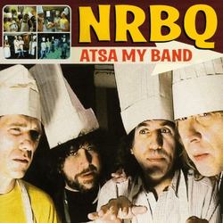NRBQ Atsa My Band Vinyl LP USED