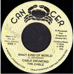 Keble Drummond / The Cables What Kind Of World / World Dub USED VINYL 7INCH 45 RPM