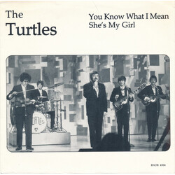 The Turtles You Know What I Mean / She's My Girl USED VINYL 7INCH 45 RPM