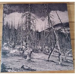 Hate Forest Sorrow Vinyl LP USED