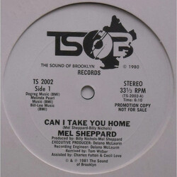 Mel Sheppard Can I Take You Home USED VINYL 12INCH 33 S RPM PROMO STEREO