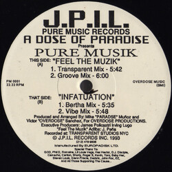 A Dose Of Paradise Pure Musik USED VINYL 12INCH 33 S RPM