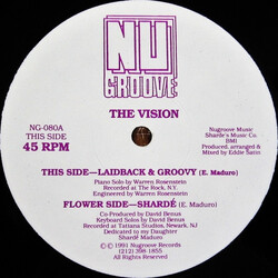 The Vision (5) Laidback & Groovy USED VINYL 12INCH 45 RPM