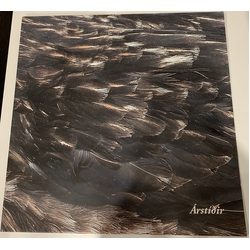 Árstíðir Árstíðir Vinyl LP USED