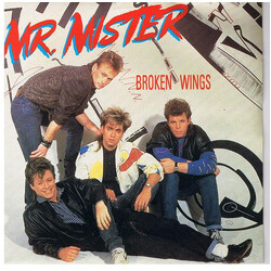 Mr. Mister Broken Wings USED VINYL 7INCH 45 RPM SINGLE STEREO