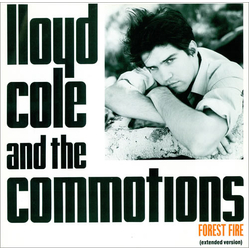Lloyd Cole & The Commotions Forest Fire (Extended Version) Vinyl 12" USED
