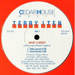 Terry Iten What A Night! Vinyl 12" USED