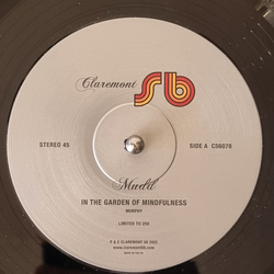 Mudd In The Garden Of Mindfulness Vinyl 12" USED