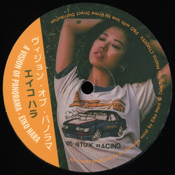 A Vision of Panorama / Eiko Hara Unconditional Vinyl 12" USED