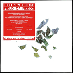 These New Puritans Field Of Reeds Vinyl 2 LP USED