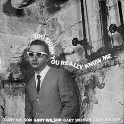 Gary Wilson You Think You Really Know Me Vinyl LP USED