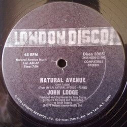John Lodge Natural Avenue USED VINYL 12INCH 45 RPM STEREO