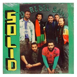 D' Rebel's Band Solid Vinyl LP USED