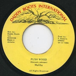 Malibu (6) Push Wood USED VINYL 7INCH 45 RPM