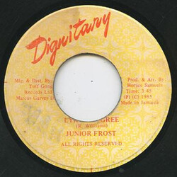 Junior Frost Lyrics Degree USED VINYL 7INCH