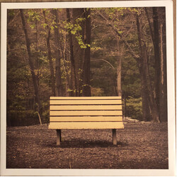 Streetlight Manifesto The Hands That Thieve Vinyl LP USED