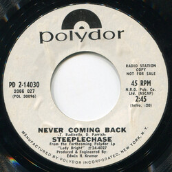 Steeplechase Lady Bright / Never Coming Back USED VINYL 7INCH PROMO