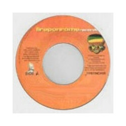 Turbulence (4) / Higher Trod Family Don't Love Me Any More / I Wonna Take You USED VINYL 7INCH 45 RPM