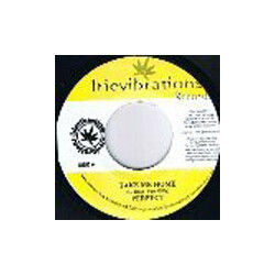 Perfect (5) / IBK Tribe Take Me Home / Life USED VINYL 7INCH