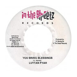 Lutan Fyah You Bring Blessings USED VINYL 7INCH 45 RPM