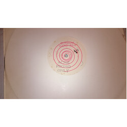 Elysium (23) Hard Pan USED VINYL 12INCH 45 RPM PROMO WHITE LABEL
