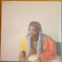 Shamir (2) Shamir Vinyl 12" USED