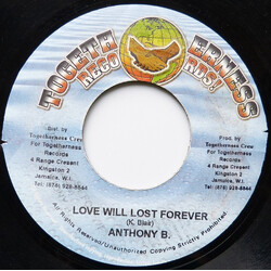 Anthony B Love Will Lost Forever USED VINYL 7INCH 45 RPM