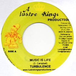 Turbulence (4) / Digital Ancient Music Is Life / Are You The One USED VINYL 7INCH 45 RPM SINGLE