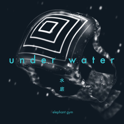 Elephant Gym Underwater Vinyl LP USED