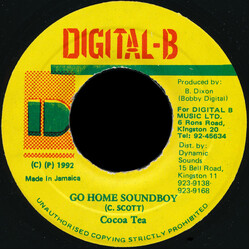 Cocoa Tea Go Home Soundboy USED VINYL 7INCH 45 RPM