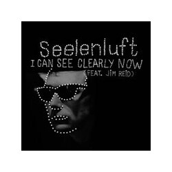 Seelenluft I Can See Clearly Now USED VINYL 7INCH