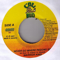Warrior King Never Go Where Pagons Go USED VINYL 7INCH 45 RPM