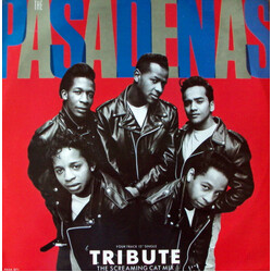 The Pasadenas Tribute USED VINYL 12INCH 45 RPM SINGLE