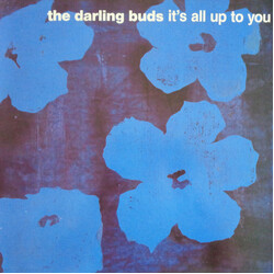 The Darling Buds It's All Up To You USED VINYL 12INCH SINGLE