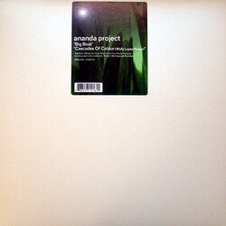 The Ananda Project Big Boat / Cascades Of Colour (Wally Lopez Remix) USED VINYL 12INCH 33 S RPM