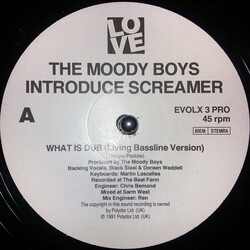 The Moody Boys / Screamer What Is Dub? USED VINYL 12INCH PROMO
