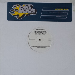 Big Buddha Be Here Now USED VINYL 12INCH PROMO