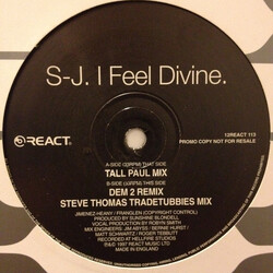 S-J I Feel Divine USED VINYL 12INCH 33 S RPM PROMO