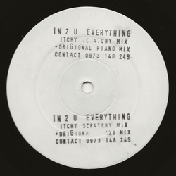 In-2-U Everything USED VINYL 12INCH WHITE LABEL