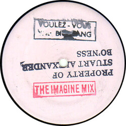 Big Bang (7) Voulez Vous? (The Imagine Mix) USED VINYL 12INCH PROMO WHITE LABEL