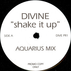 Divine Shake It Up (Aquarius Mixes) USED VINYL 12INCH PROMO