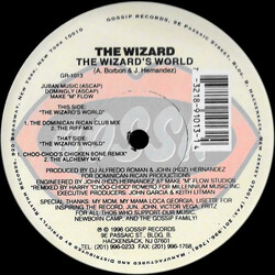 The Wizard (42) The Wizard's World USED VINYL 12INCH 33 S RPM