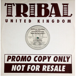 Fallout Shelter / Dihann Moore What Do You Want? USED VINYL 12INCH PROMO