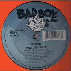 Technodiva Picture This USED VINYL 12INCH 45 RPM