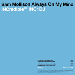 Sam Mollison Always On My Mind USED VINYL 12INCH 33 S RPM STEREO