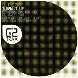 DJ Pierre Turn It Up USED VINYL 12INCH