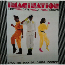 Imagination Last Days Of Summer USED VINYL 12INCH 45 RPM
