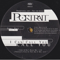 Portrait I Can Call You USED VINYL 12INCH PROMO