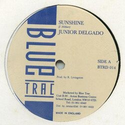Junior Delgado Sunshine USED VINYL 12INCH