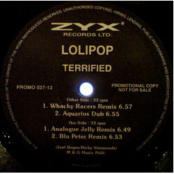 Lolipop Terrified USED VINYL 12INCH 33 S RPM PROMO